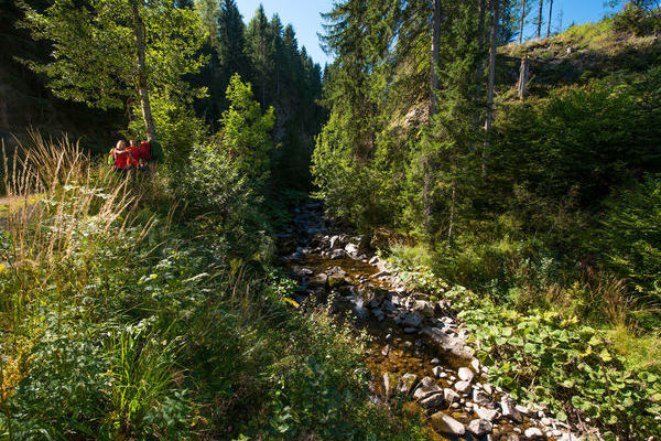 Albsteig Schwarzwald  Klaus-Peter Kappest | www.albsteig.de