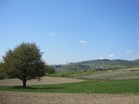 (Bildnachweis: Mit freundlicher Genehmigung der Stadt Albbruck) (Bildnachweis: Mit freundlicher Genehmigung der Stadt Albbruck)