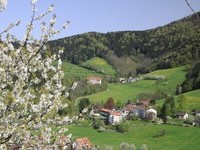 Fr�hling, Blick zur Rehaklinik - Fotograf: Bernhard W�rzburger (Bildnachweis: � Tourist-Info Glottertal, Foto: Bernhard W�rzburger)