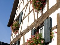 (Bildnachweis: Gemeinde Buggingen) (Bildnachweis: Gemeinde Buggingen)