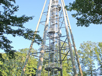 (Bildnachweis: Mit freundlicher Genehmigung der Stadt Emmendingen, Martin Ziaja) (Bildnachweis: Mit freundlicher Genehmigung der Stadt Emmendingen, Martin Ziaja)