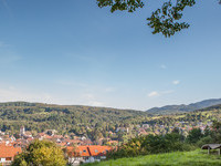 (Bildnachweis: Mit freundlicher Genehmigung der Tourist-Information Kandern) (Bildnachweis: Mit freundlicher Genehmigung der Tourist-Information Kandern)