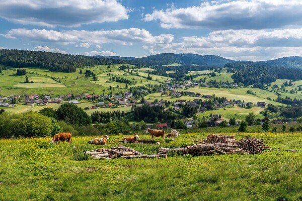  Bildnachweis: Mit freundlicher Genehmigung Tourist Information Bernau