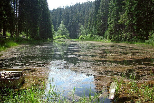 Poppelsee Bildnachweis: Copyright: Mit freundlicher Genehmigung der Gemeinde Seewald