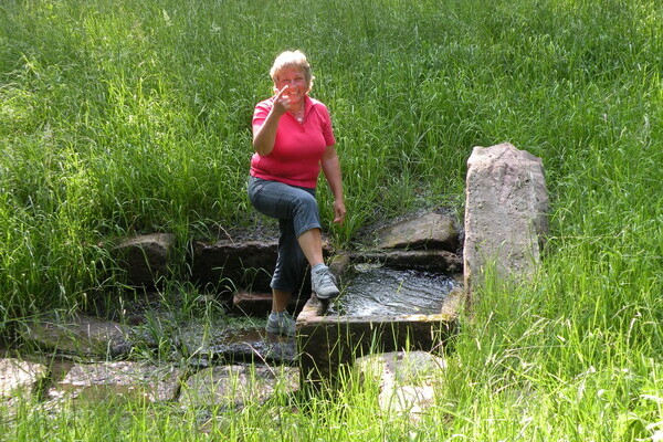 Nagoldursprung Bildnachweis: Mit freundlicher Genehmigung der Gemeinde Seewald