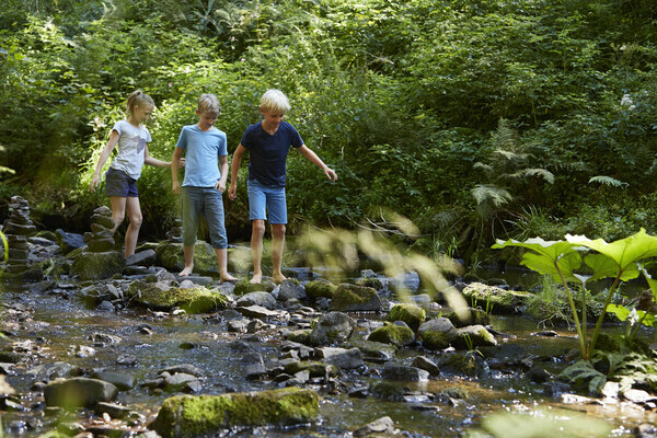 Spielen im Bachlauf Bildnachweis: Hochschwarzwald Tourismus GmbH/ Christoph Dpper