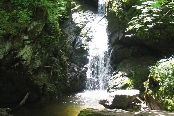 Lotenbachklamm Copyright: (Touristinfo Bonndorf)